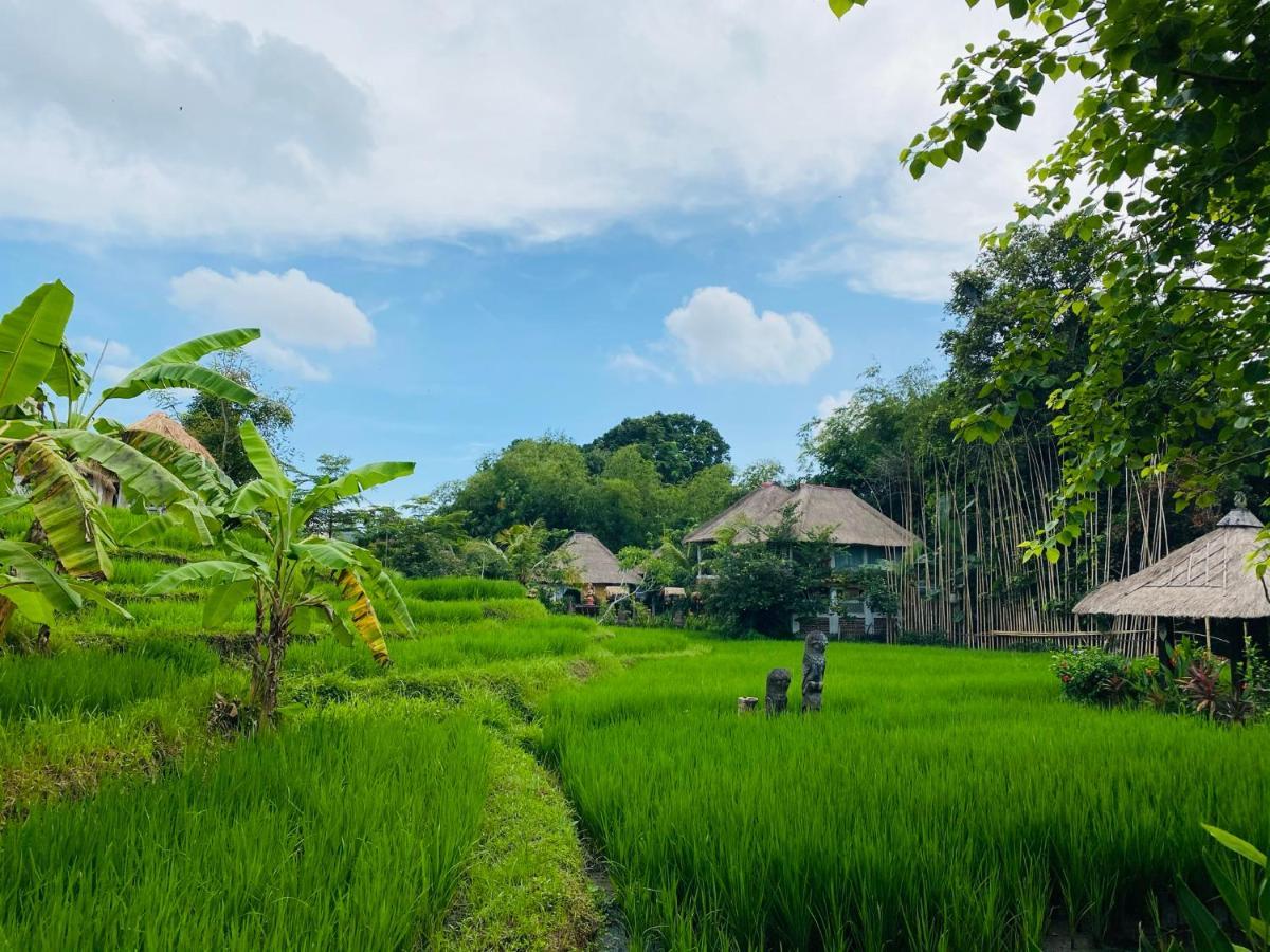 Kts Balinese Villas تْشانغو المظهر الخارجي الصورة