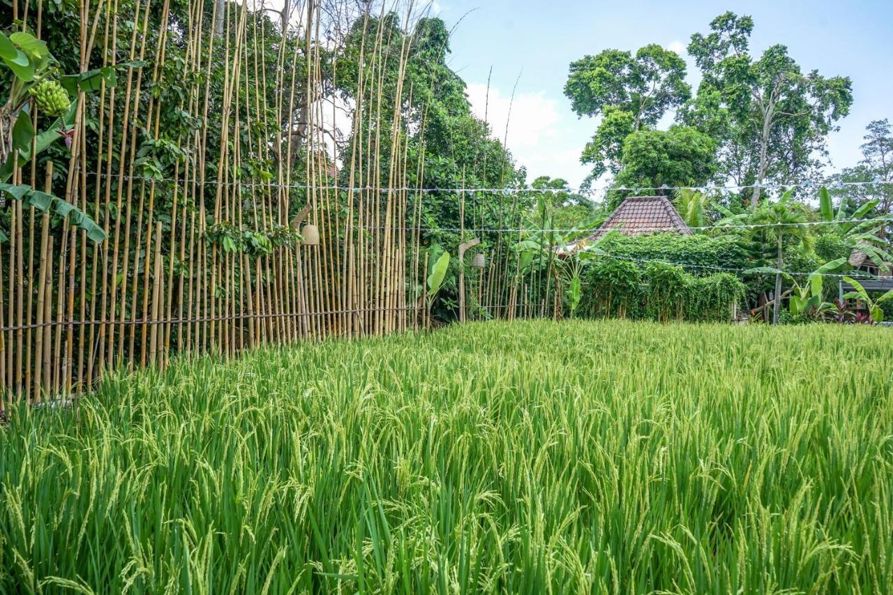 Kts Balinese Villas تْشانغو المظهر الخارجي الصورة